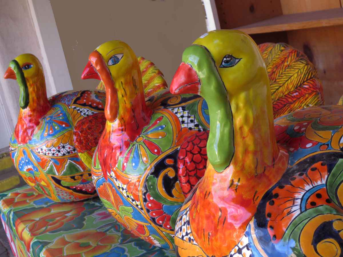 Colorful turkey photo by Susan Fluegel
